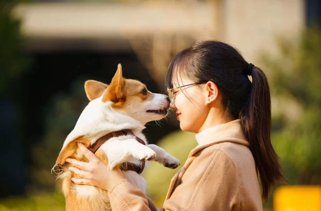 Chinese Pet Parenting: How Pets Are Elevated in 2025
